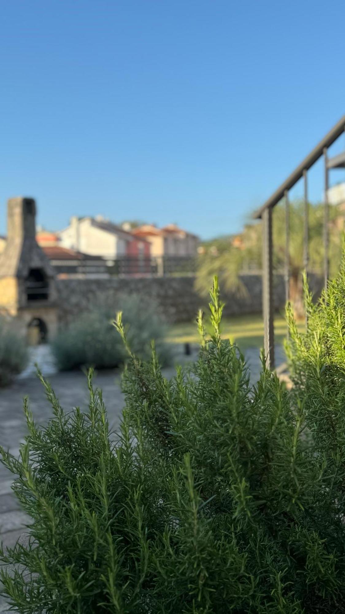 Apartments Ein Haus In Der Sonne マリンスカ エクステリア 写真